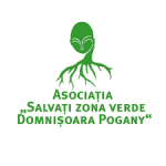 43. Asociatia Domnisoara Pogany